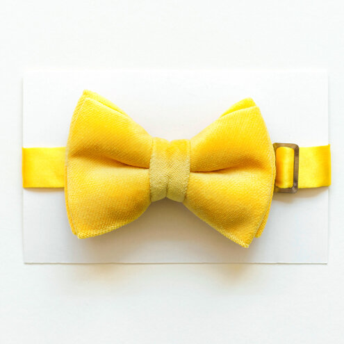 Butterfly yellow